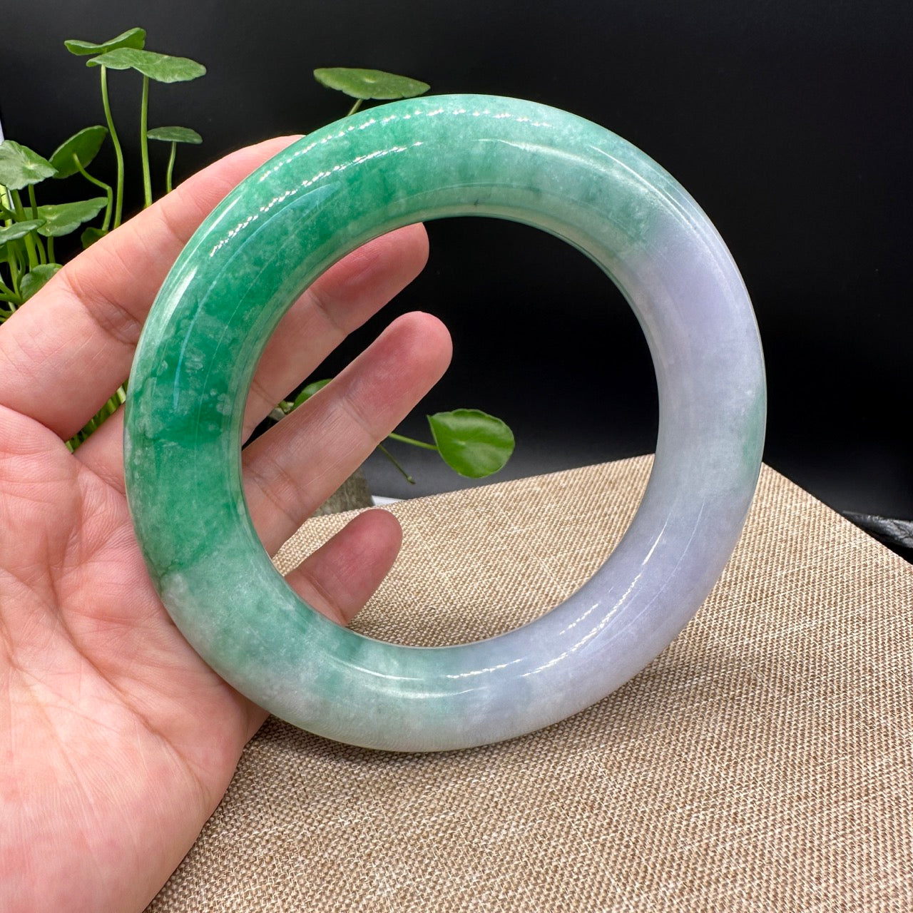 Genuine Burmese High-end Jade Jadeite Bangle Bracelet ( 80.3mm )( Collectibles )