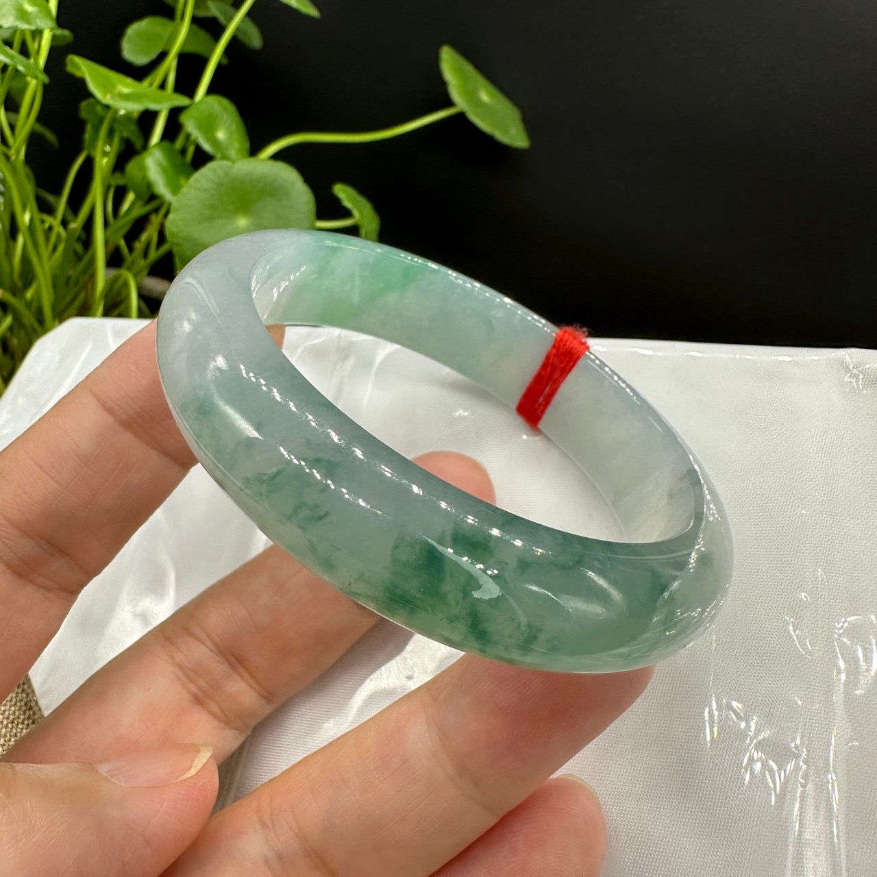 Genuine Burmese High-end Jade Jadeite Oval Bangle Bracelet ( 57mm )( Collectibles )