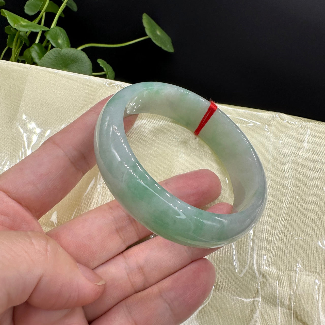 Genuine Burmese High-end Jade Jadeite Oval Bangle Bracelet ( 59.8mm )( Collectibles )