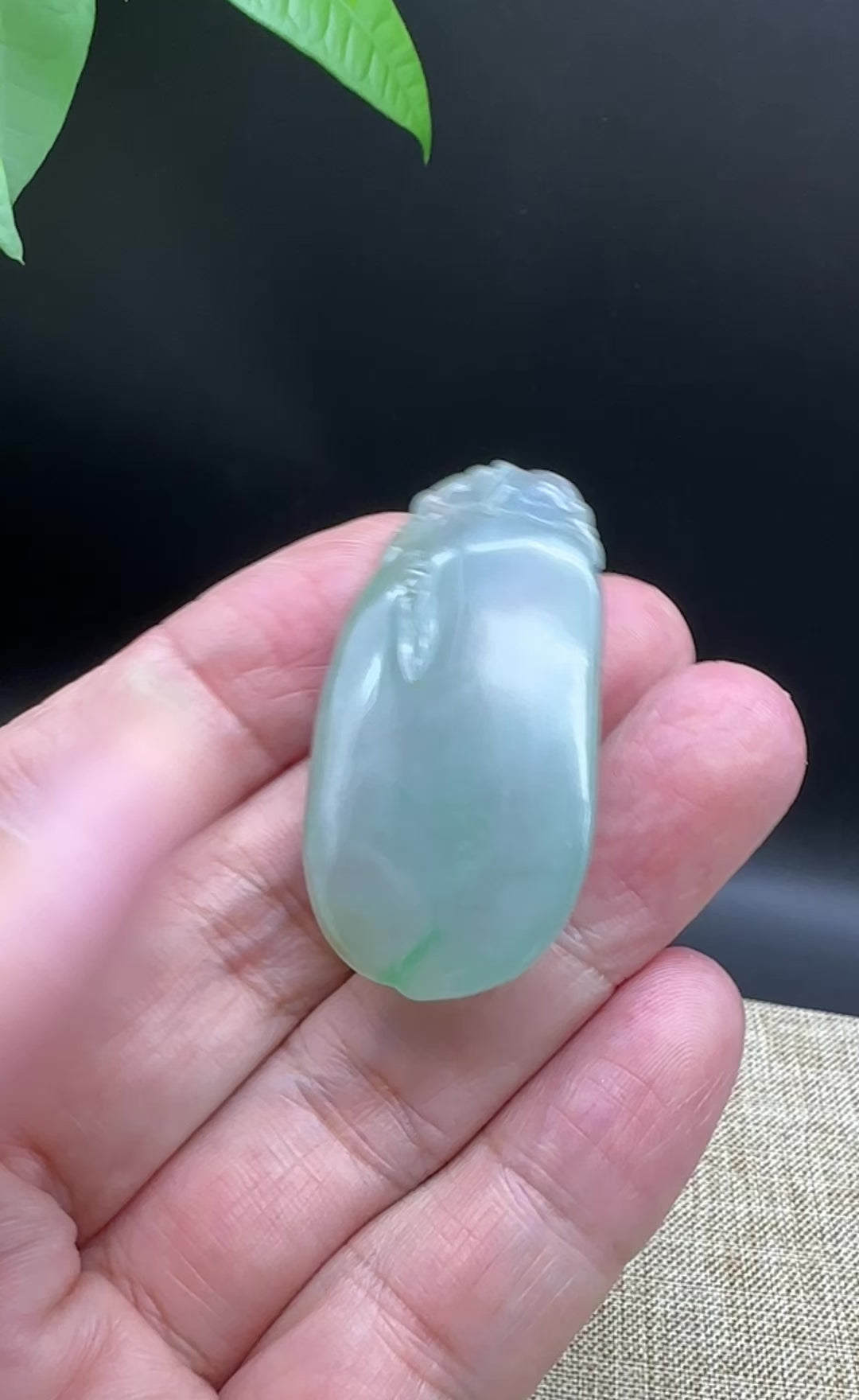 Load and play video in Gallery viewer, Natural Ice Blue Green Jadeite Jade Shou Tao ( longevity Peach ) Necklace
