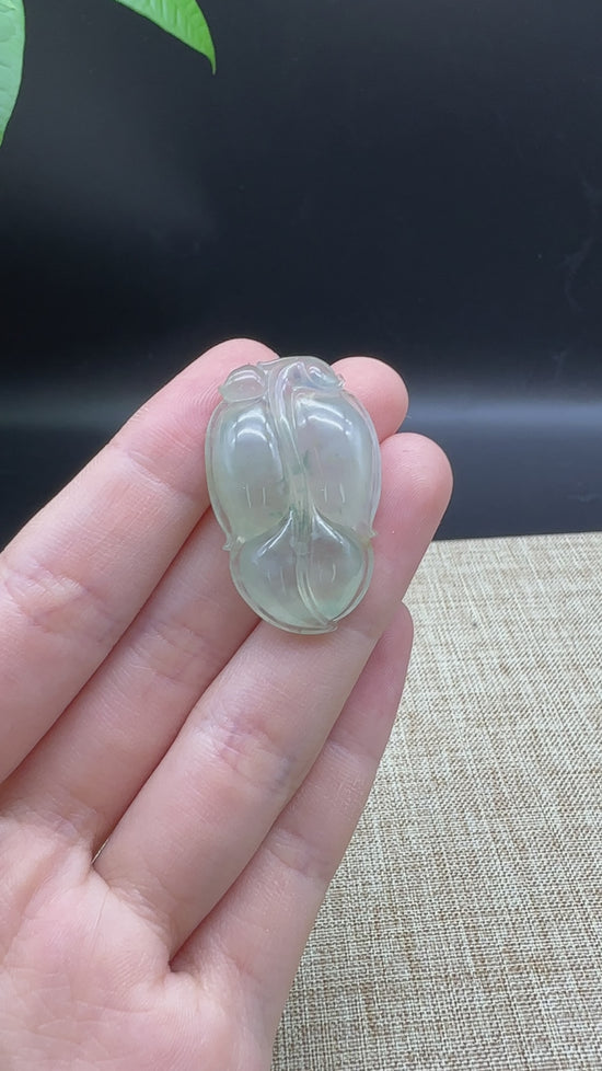 Load and play video in Gallery viewer, Genuine IceJadeite Jade Jin Zhi Yu Ye (Leaf) Necklace
