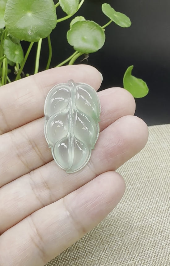 Load and play video in Gallery viewer, High end RealJade Co.¨ Genuine Ice Jadeite Jade Jin Zhi Yu Ye (Leaf) Necklace

