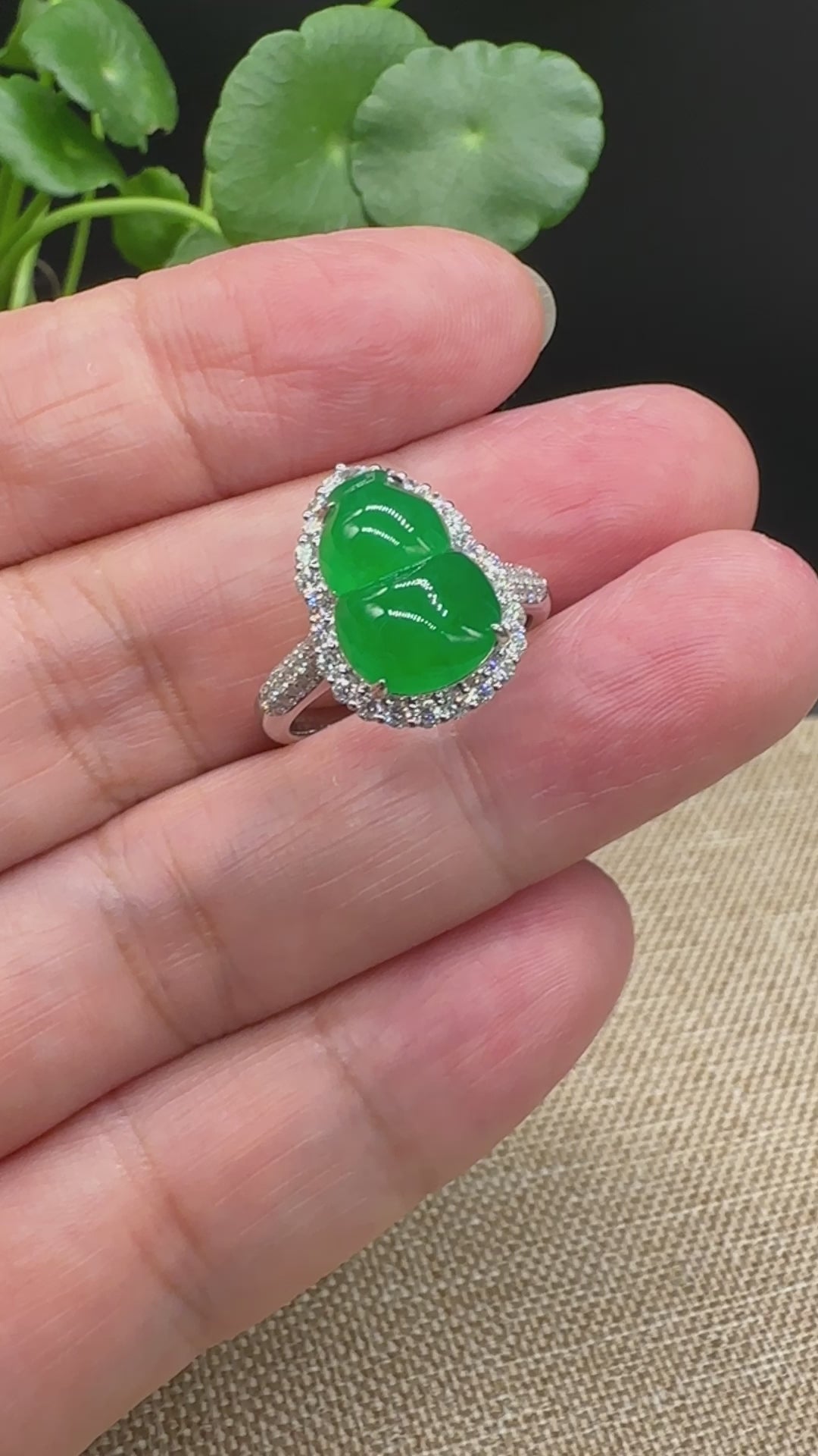 Load and play video in Gallery viewer, RealJade® &amp;quot;Amelie&amp;quot; 18k White Gold Natural Ice Green Jadeite Engagement Ring With Diamonds
